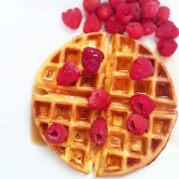 Low Carb Simply Easy Protein Waffles (2 Ingredients!) - Body Nutrition